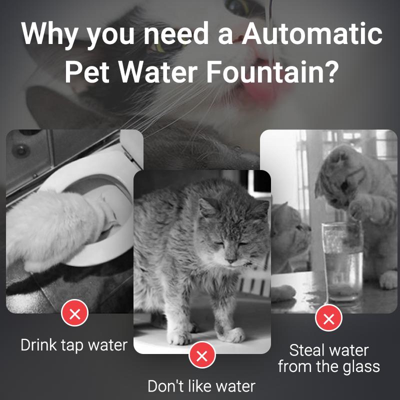 Smart Cat Water Fountain Automatic Pet Water Dispenser For Cats Dog Drinking Purifier Fountain with Recirculate Filters