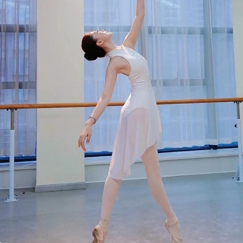 Elastic Mesh Diagonal Ballet Skirt: Women's Gymnastics Leotard Dance Practice Gauze Skirt, Half-Body