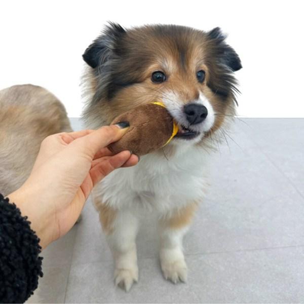 Kuishi Carrot Field Sweet Potato Field Nose Work Squeaky Rustle Pocket Toy, 1 Piece, Mixed Colors