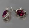 Pendiente de gota con forma ovalada y redonda con circonita cúbica roja para mujer Accesorios de dama noble Máxima calidad Cumpleaños para madre Brillo