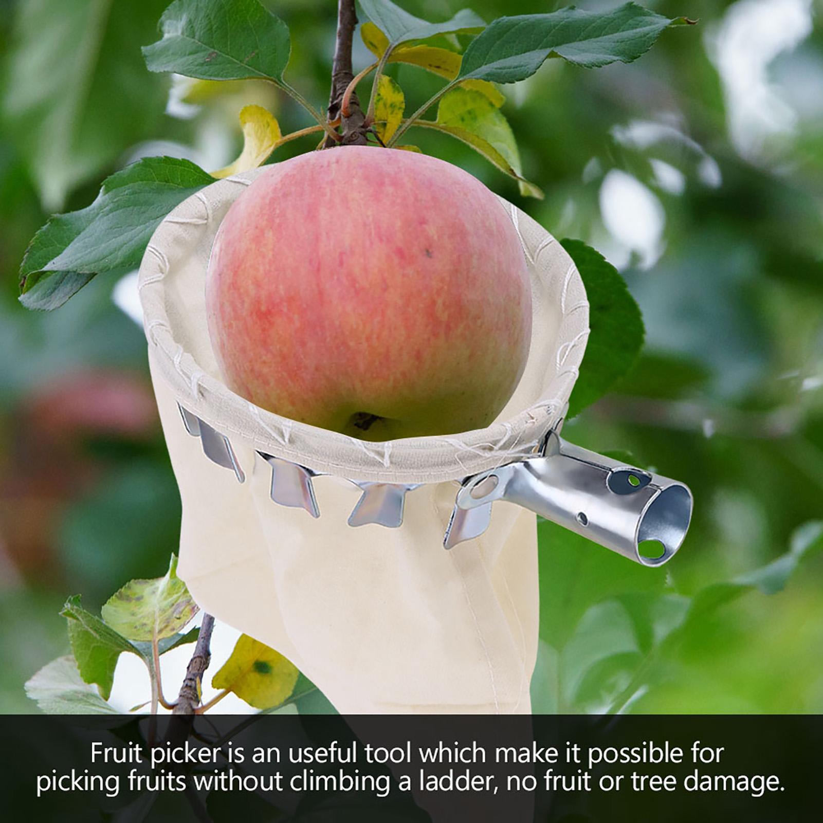 

Fruit Picker Head Basket Fruit Picking Tools Fruits Catcher for Harvest Picking Apple