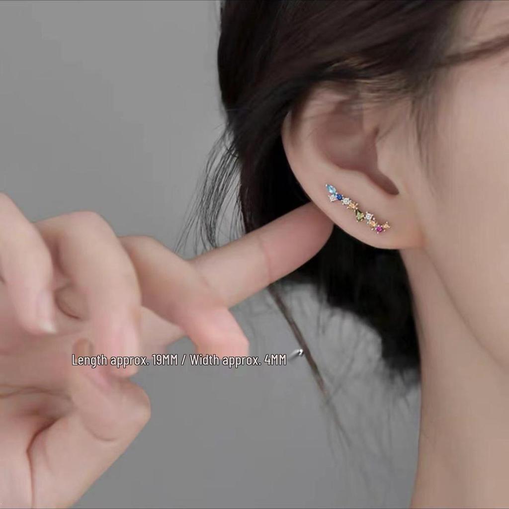 925 Sterling Silver Zircon Stud Earrings: 2024 Niche Luxury Jewelry for Women