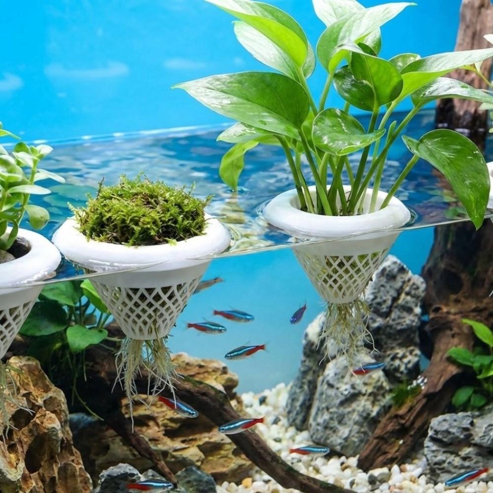 Growing Pots Floating Aquarium Planting Basket  Aquarium Landscaping Tool