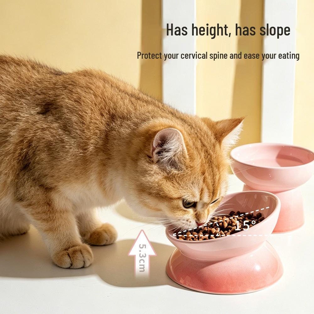 Ceramic Gradient Pet Bowl for Cats and Dogs - Feeder, Food, and Water Bowl