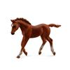 CollectA Thoroughbred Foal Chestnut (Medium) (Walking)