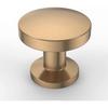 SeraphinaT 10 Pack Champagne Bronze Kitchen Cabinet Knobs Dresser Knobs Drawer