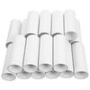 20Pcs Cardboard Tubes: Craft Rolls Paper Tube White for Art & Crafts - Empty Toilet Paper Rolls Paintable for DIY Project - Kids Classroom Supplies