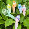 6/5pcs Garden Landscape Decor Simulation Birds Photography Props with Clip Foam Feathers Birds Colorful Home Decor