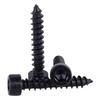 Grade 8.8 High Strength Black Hex Socket Self-Tapping Screw M2*M6 with Cylindrical Head