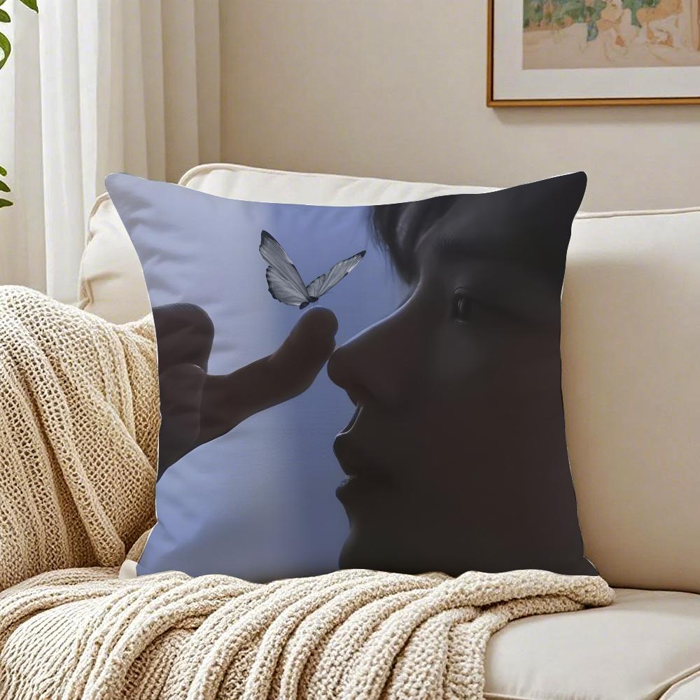 S-Sean Xiao Idol Fan Exclusive Cushion Cover Pillowcase Anti-Dustmite Living Room Sofa Decor Cushion Room