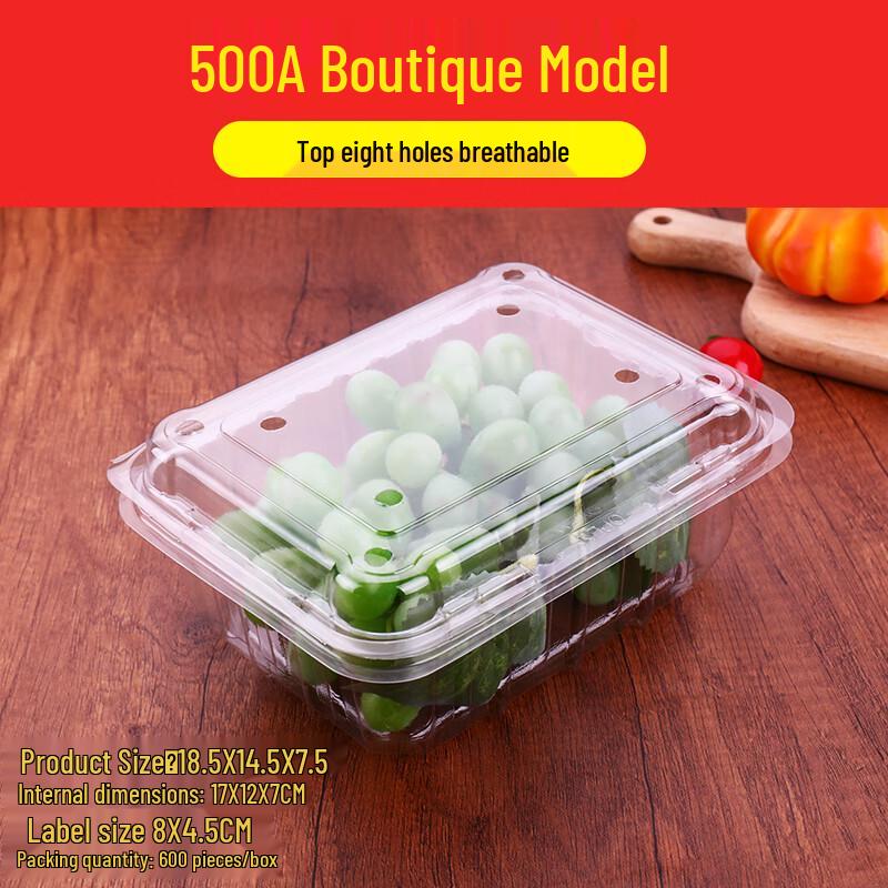 Shixun Disposable Transparent Fruit Containers with Lids (100-Pack)