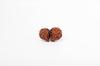Natural Gauri Shankar Rudraksha Bead – Nepali Origin | Bead for Harmony, Unity, Relationship Balance & Emotional Healing | Organic & Lab Certified