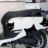 PAVIKE Car Sticker, Funny Sticker, Black Cat, Car Scratches Sticker, Hides Dents, Scratches, Easy