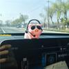 Cute Pig with Glasses Car Pendant Auto Rearview Mirror Pendants Swing Pig Coche Interior Decoraction Accessories Creative Gift