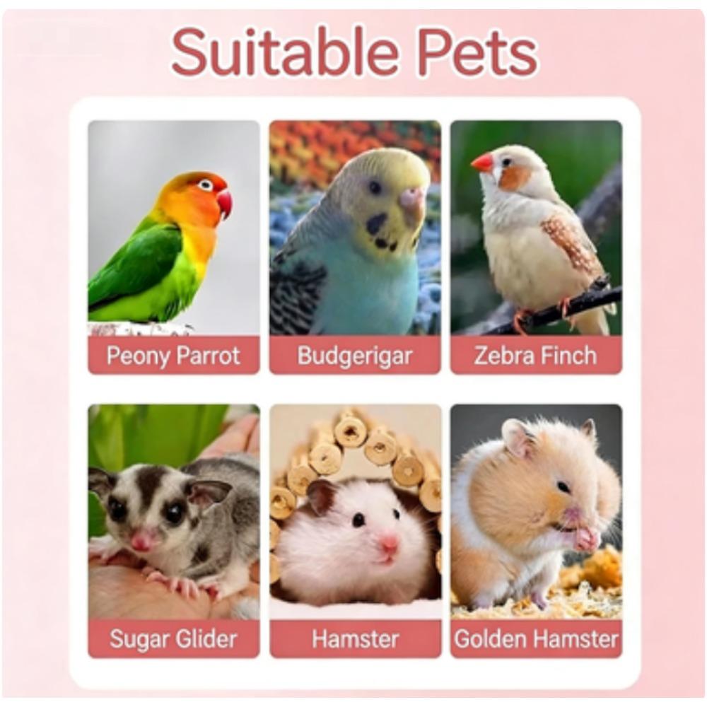 Hamsterkugel, Bewegungsspielzeug, Laufball, Klare Plastikkugeln Hamsterkäfig Zubehör für kleine und mittlere Hamster, Syrische Zwerghamster