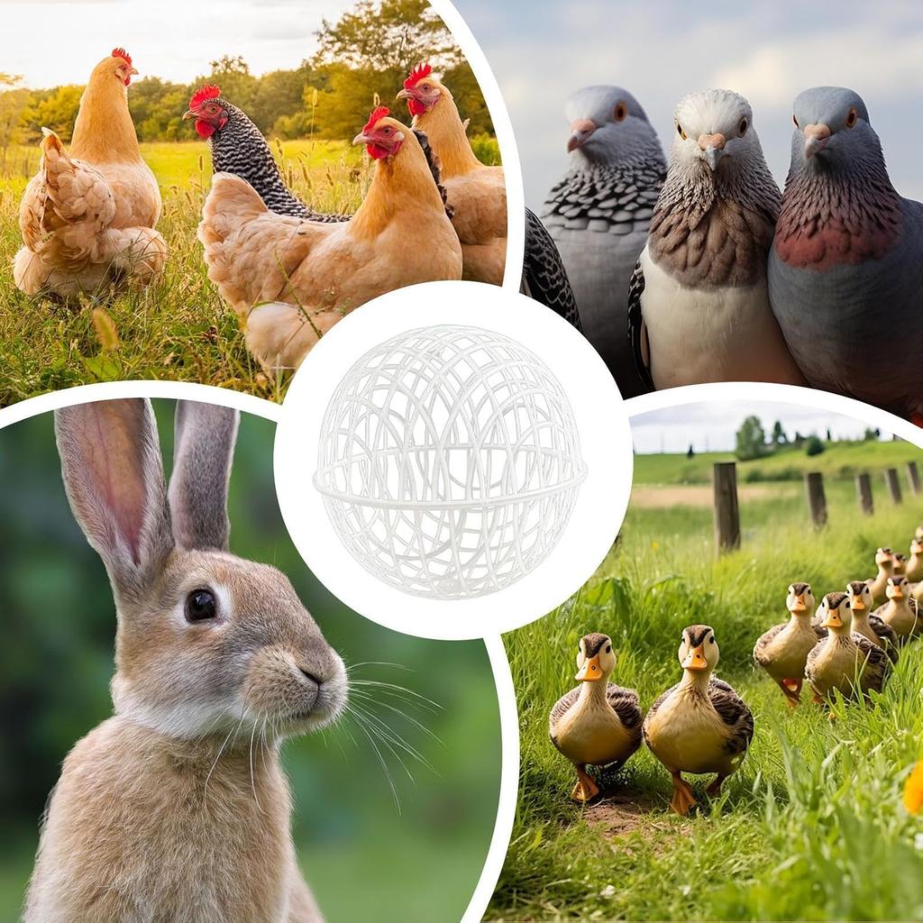 Walking Chicken Cage Plastic Spherical Chicken Cage Round Rabbits Cage Can Roll and Walk To Feed Free Range Chicken Cage