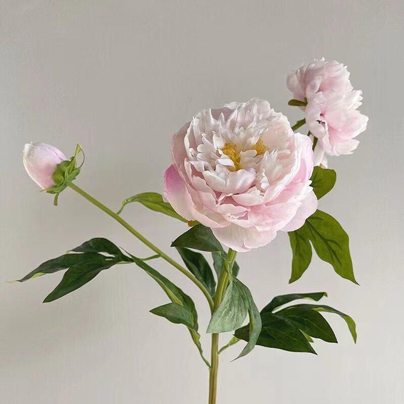 Lu Ke Premium Peony Silk Flower Bouquet for Living Room & Dining Table Decoration