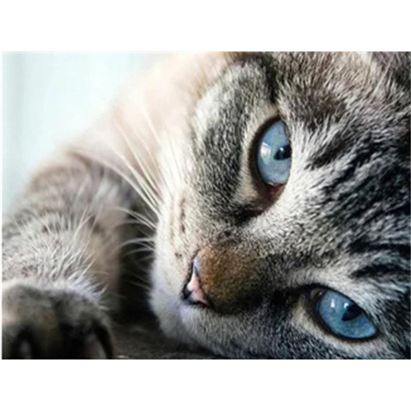 DIY Diamond Painting Kitten Cross Stitch Kit Mosaic Art Diamond Painting Full Circle/Square Diamond Home Decoration