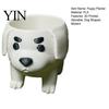 Small Pot 2 Pcs Dog Planter Pot, Funny 3D Printed Animal Planter, Puppy Cute Flower for Home Office Indoor Outdoor Decor Polished Edge Flowerpot