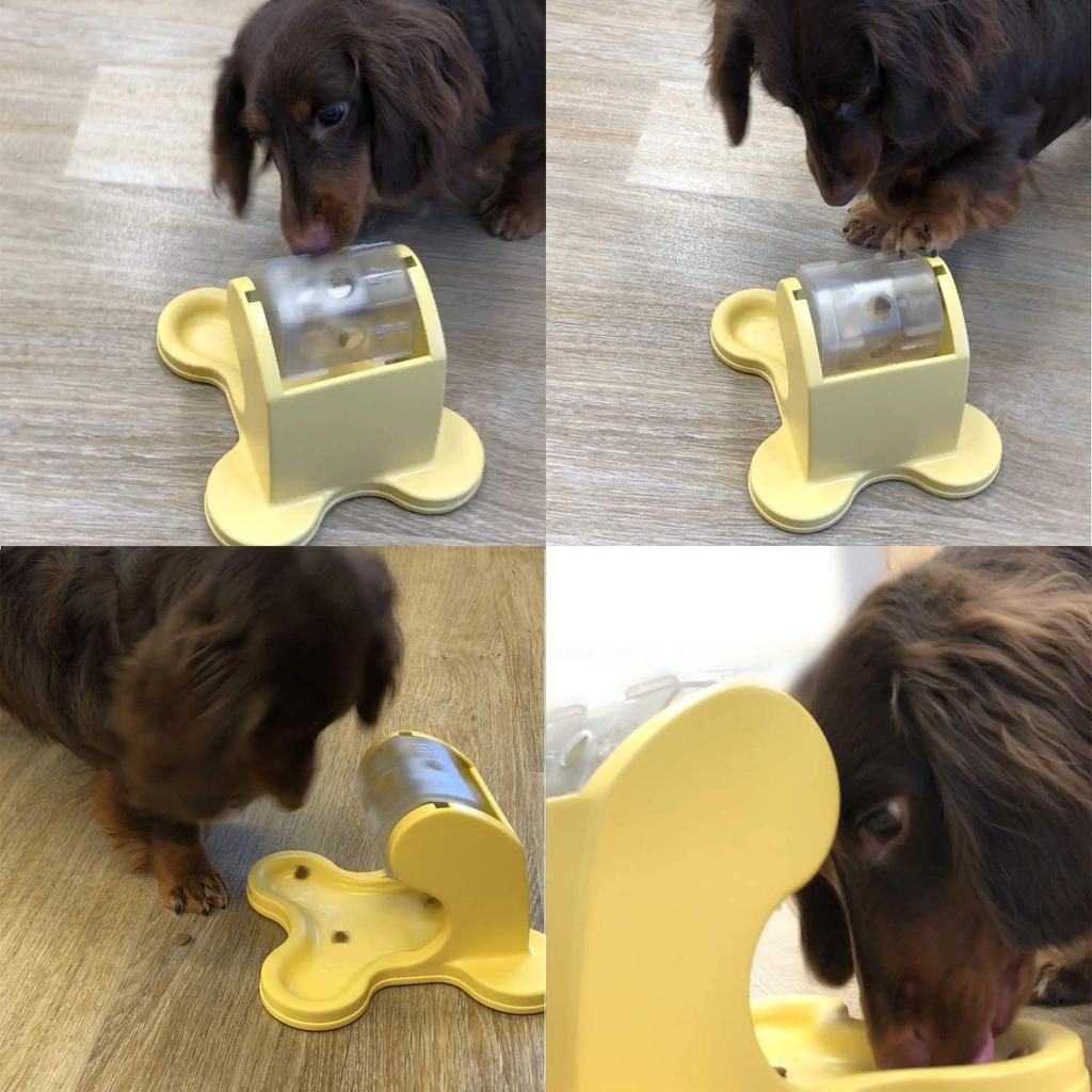 Doggyman Doggie Rice Bowl