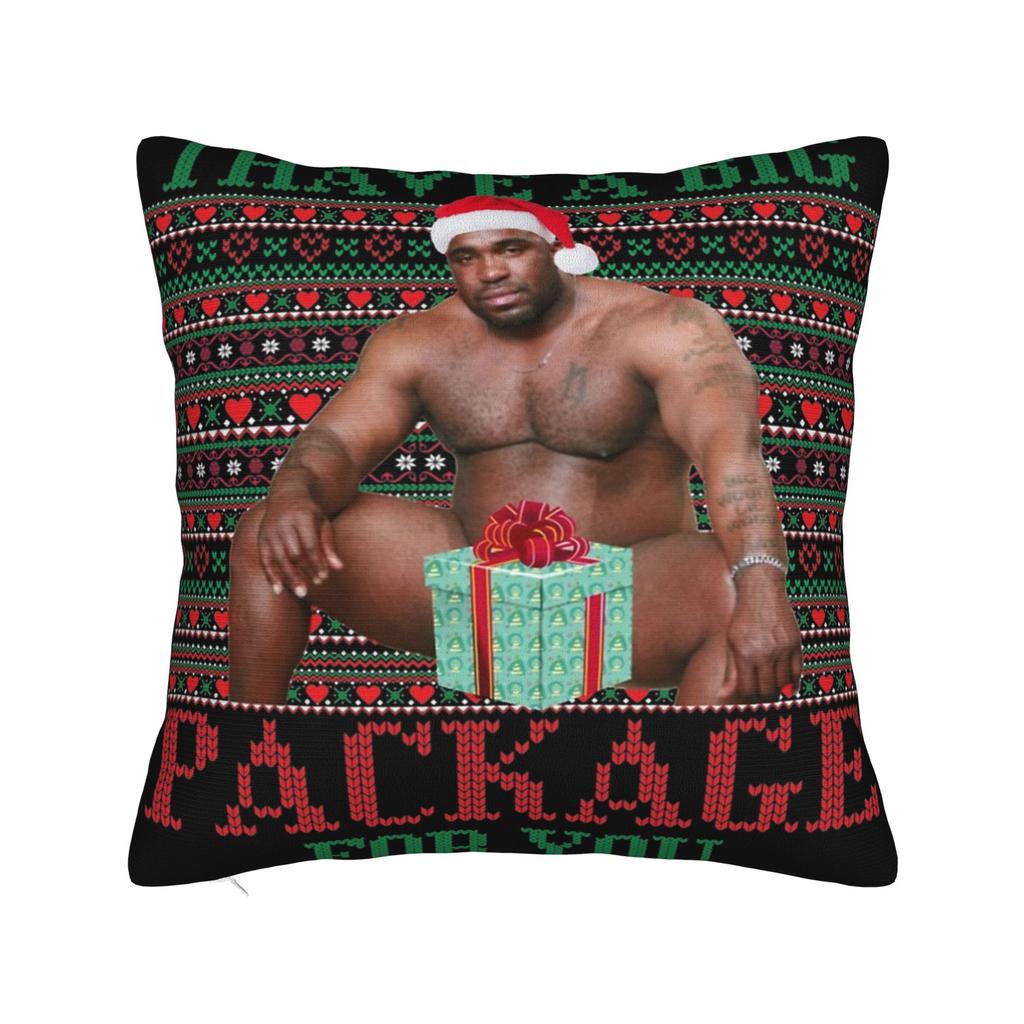 Decorative Pillow Cover Funny Barry Wood Meme Christmas Accessories Car Pillow Case Cover Zippered Multiple Sizes