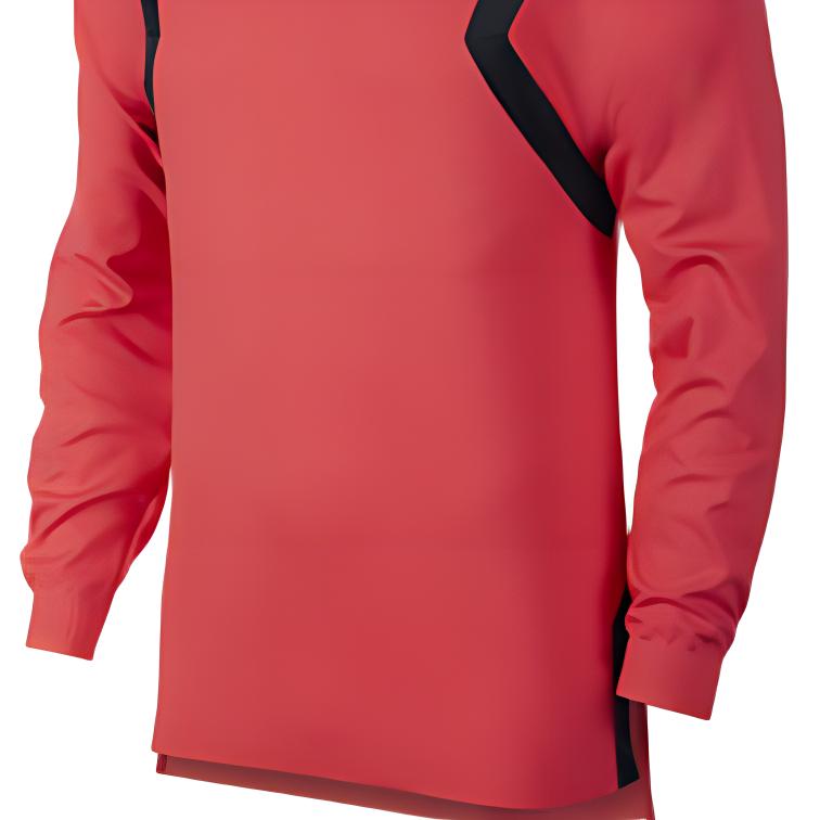 Jordan Logo Printed Hooded Sweatshirt Men sweatshirt Red AJ1125-850