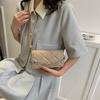 Chic Trendy Small Square Crossbody Bag 2023 Summer Fashion Pu Shoulder Bag For Women