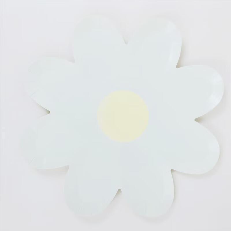 Ins-Style Disposable Paper Plates