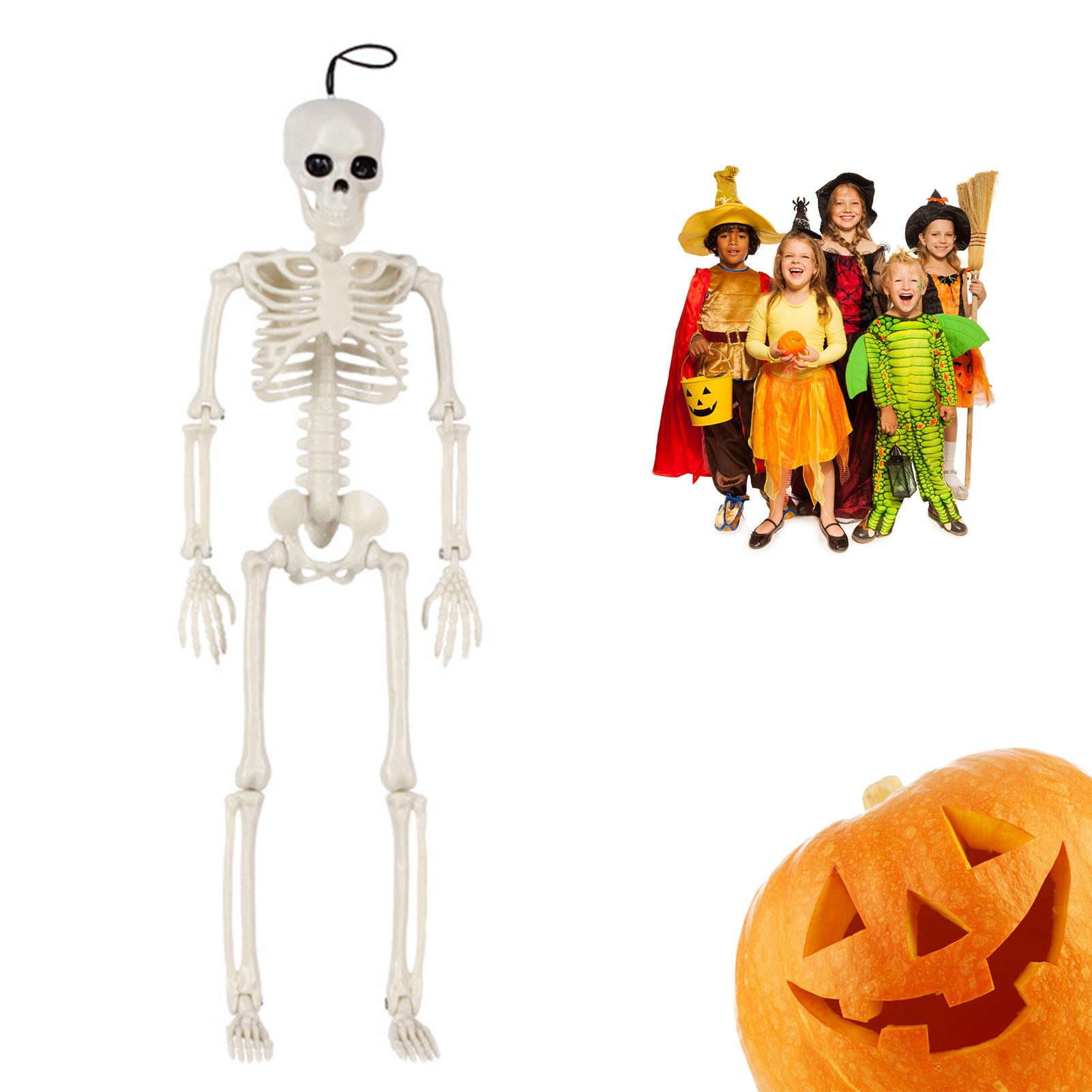 

Skeleton Halloween Decorations Life Body Anatomy Model Lifelike Skeleton Model for Haunted Houses Cemeteries