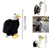 Realistic Eagle Plush Toy For Wildlife Enthusiasts 25cm/35cm/45cm