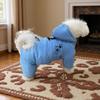 Ropa y calzado – Abrigos y chaquetas para perro