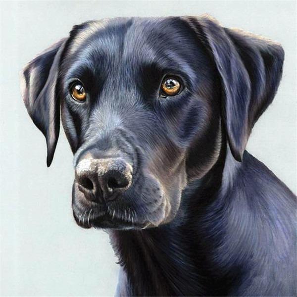 Diamond Painting Full Round Dog 5D DIY Diamond Embroidery Mosaic Animals Rhinestone Pictures Handmade Gift Home Decor