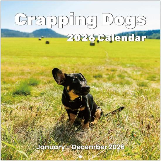 2026 Calendar, 2026 Wall Calendar, Beaches Calendar 2026 from Jan 2026 - Dec 2026, 12  x 24  (Open), 12-Month Seaside Landscape Calendar, Large 26 FUNNY DOGS
