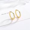 Korean Version of Stud Earrings Fashion Women's Circle Model, Ring Temperament Cold Wind Twist Rope Twist Ear Buckle Men's and Women's Models