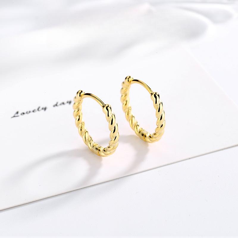 Korean Version of Stud Earrings Fashion Women's Circle Model, Ring Temperament Cold Wind Twist Rope Twist Ear Buckle Men's and Women's Models