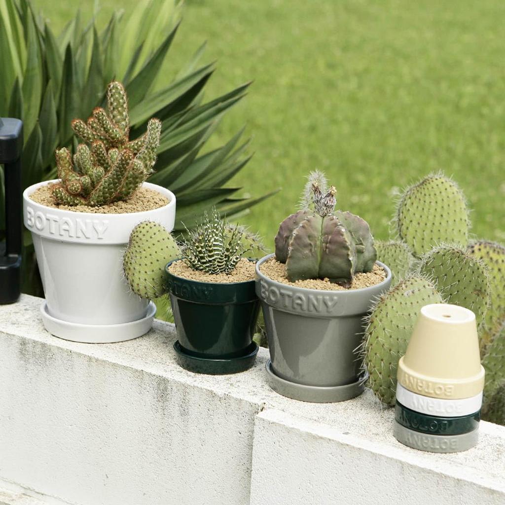 Dulton Blumentopf 5 Grau Ein mit einem geprägten Logo und Erdfarben dekorierter Blumentopf BOTANY 5 Höhe Durchmesser 15cm Nein. 13.8cm G21-0395M/GY