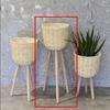 Pastoral Style Rattan and Solid Wood Floor Plant Stand