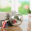 Dekoration Transparent Weihnachten DIYT Kugel Festival Anhänger Geschenk Hohlkugel