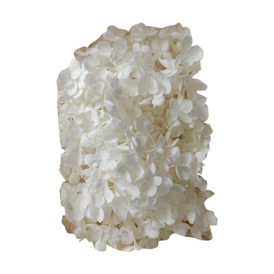 

Модные сухие цветы гортензии без полива, легкие, добавляют атмосферы