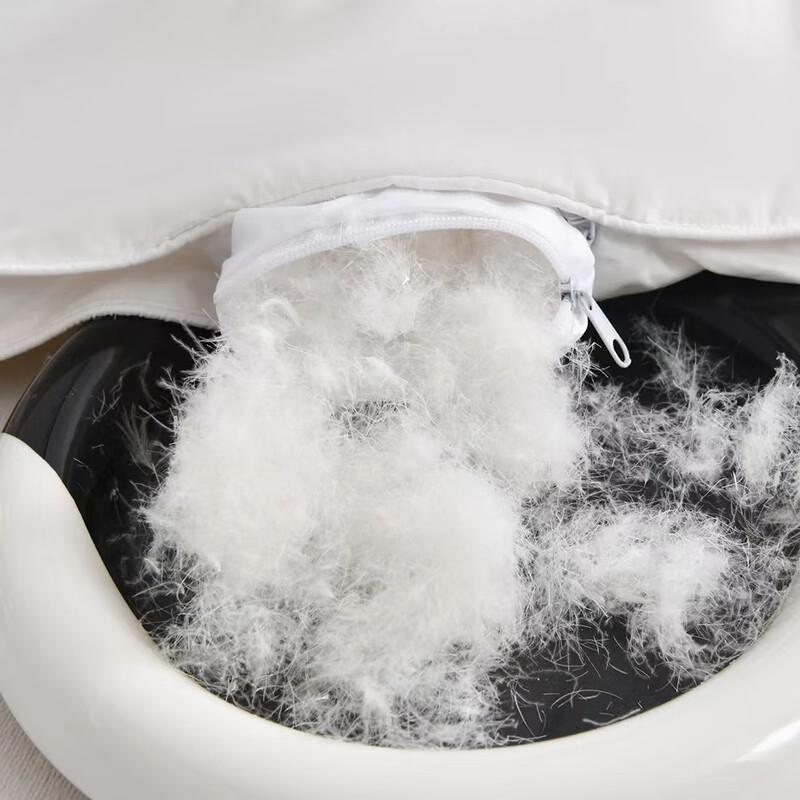 Youmengjiaju Thick Winter Duck Down Quilt