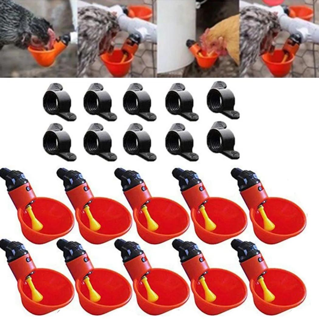 

Accessories Brand New Chicken Drinking Bowl Poultry Drinker Chicken Crickets Drinking Cup Farm Holder Parrots Pet China Mainland