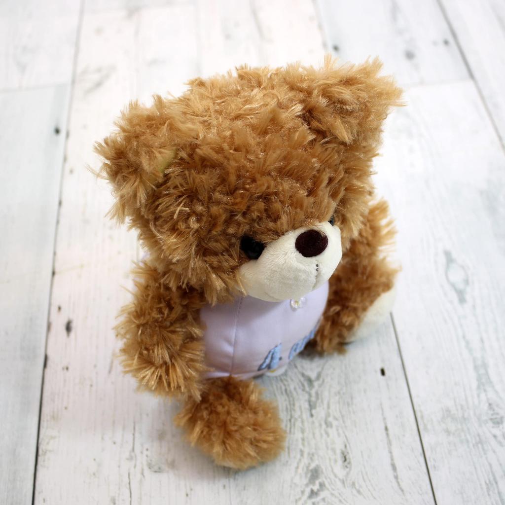 Take Off Plush Toy BEAR'S365 April Brown