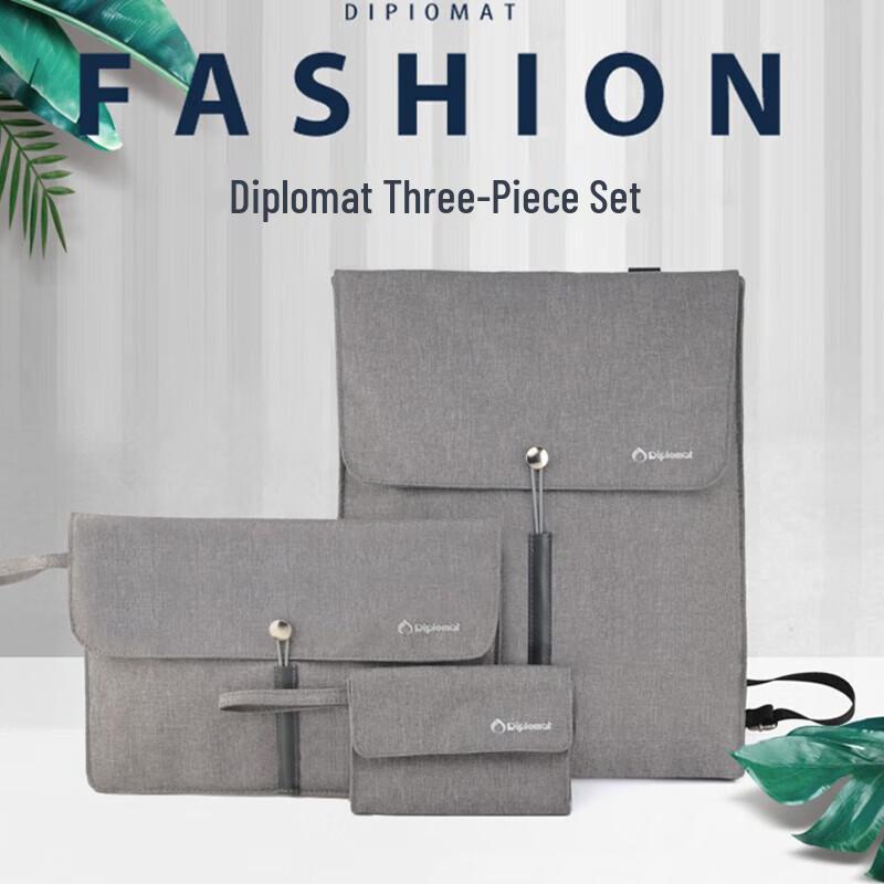 Мужской набор-рюкзак Diplomat DS-14065L из 3 предметов