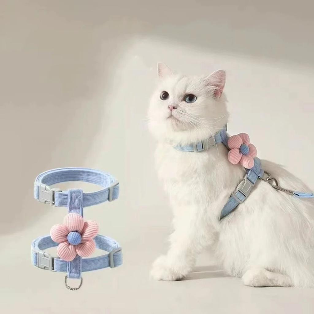 Collars and Guides for Cats Pets Kittens Supplies Collar Kitten Pet Goods Products Accessories Things Leash Chain the Animals So