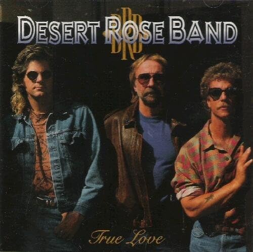 

CD DESERT ROSE BAND - True Love ALCB434 Curb Japan Rock Used