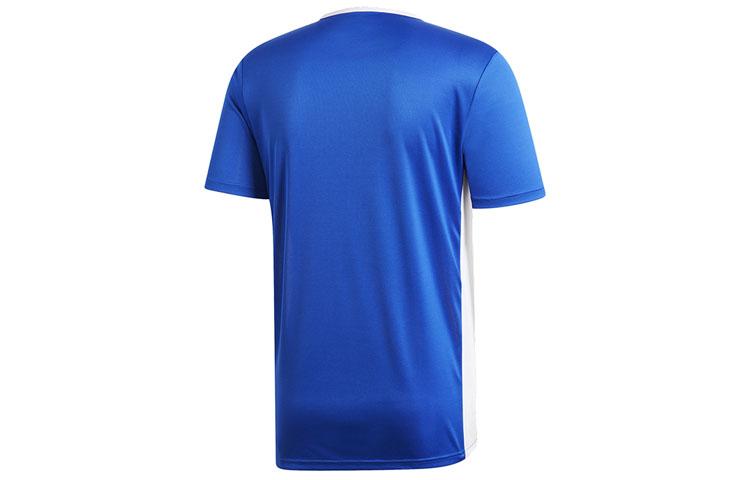 adidas T Shirts Men's Blue Crew Neck Moderate Straight Fit CF1037