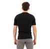 Icebreaker Базовый слой с коротким рукавом 200 Oasis Merino