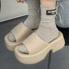 Rimocy 2025 New Woman's Wedges Slippers Summer Beach Open Toe Thick Bottom Sandals Eva Platform A Word Slippers Woman