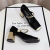 Guofeng High Heels Women's Thick Heel 2024 Large Size Color Matching with Cheongsam Square Head New Chinese Mary Jane Single Shoes Women's Middle Heel