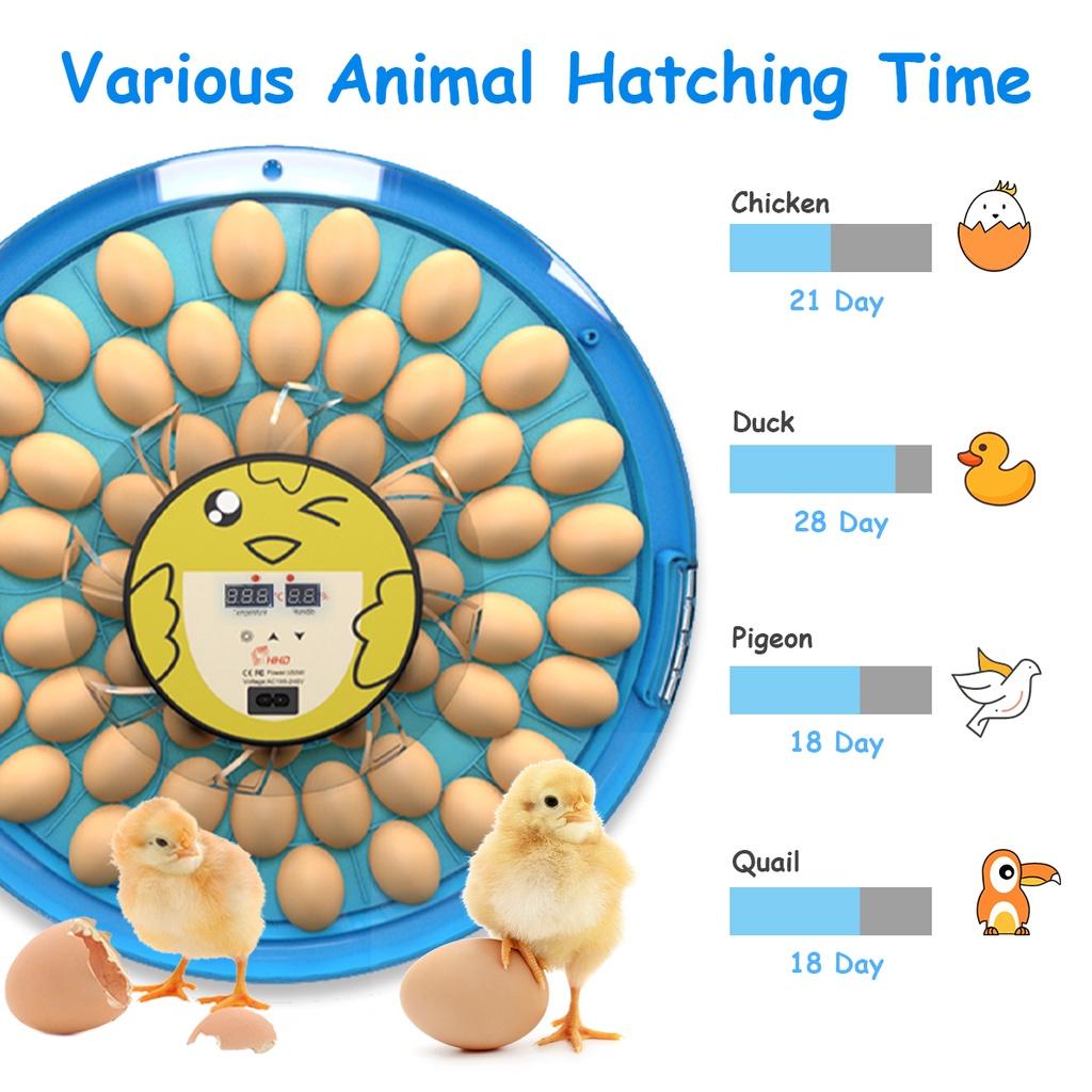 60W 52 Pcs Egg Incubator Hatching Chicks Fully Automatic Poultry Hatching Machine